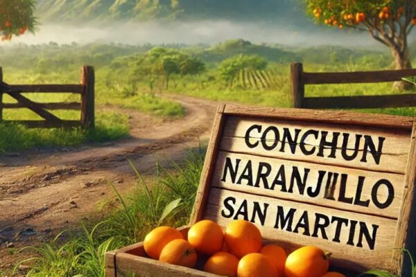 Conchun Naranjillo San Martin