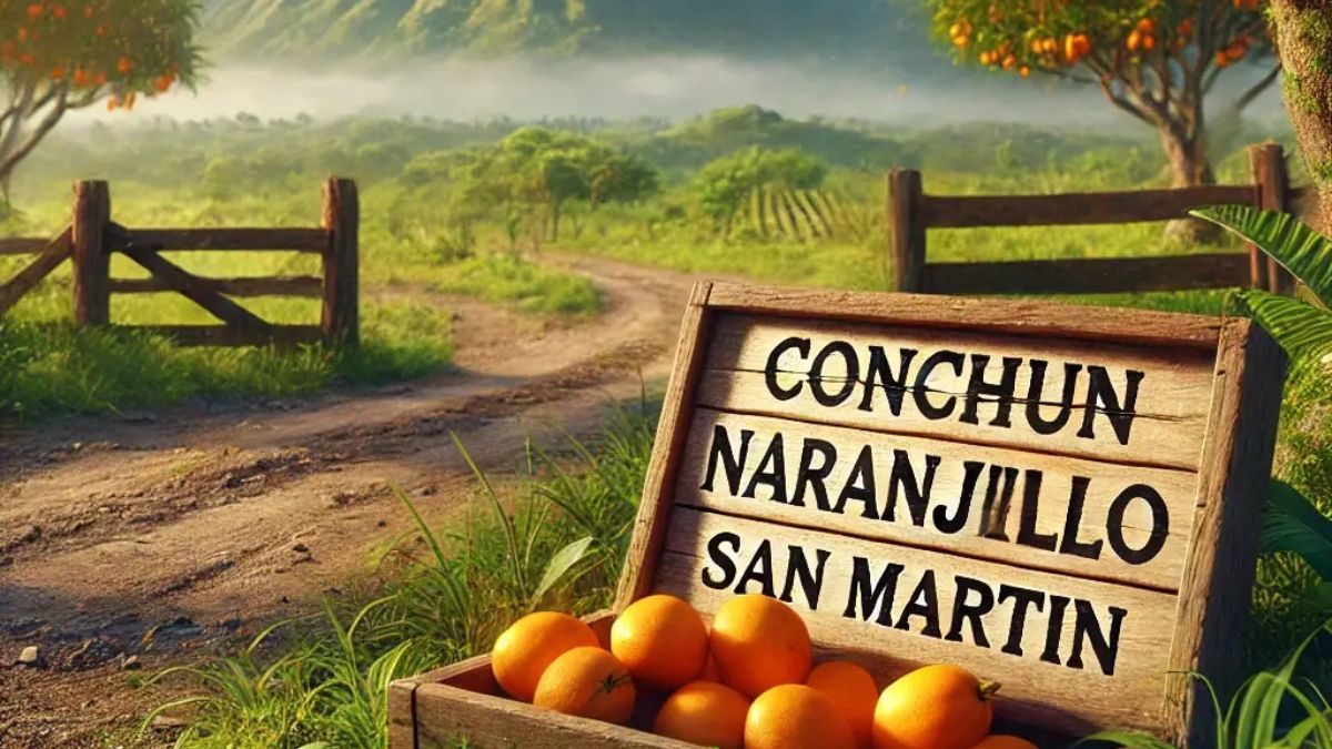 Conchun Naranjillo San Martin