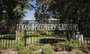 texas discovery gardens