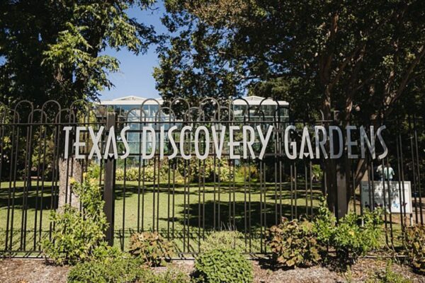 texas discovery gardens