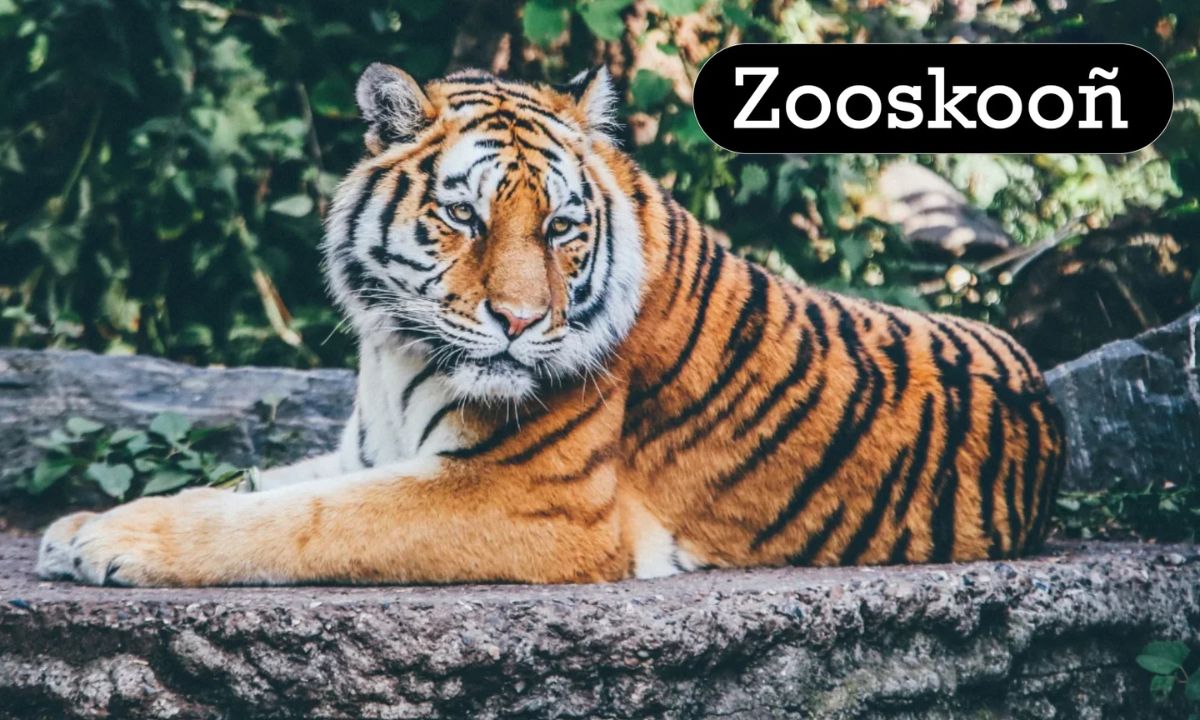 Zooskooñ